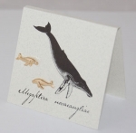 Whale Natural History Earrings - gold