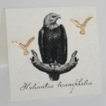 Eagle Natural History Earrings - gold